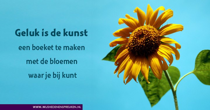 Geluk is de kunst