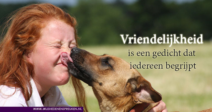 Vriendelijkheid