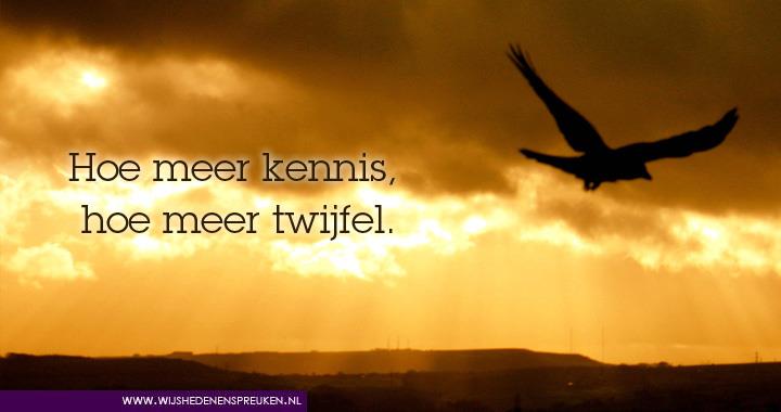 Hoe meer kennis